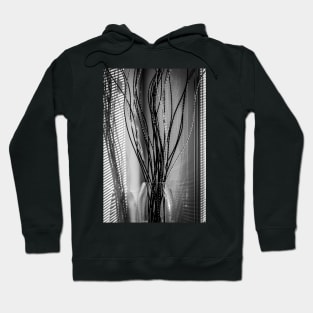 Black and White Bathroom Photography - Reeds in a Vase Hoodie